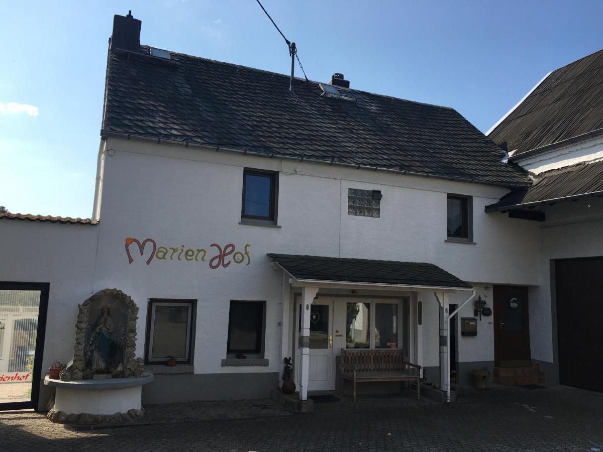 Ferienwohnung Marienhof Erdgeschoss Seelbach  Luaran gambar